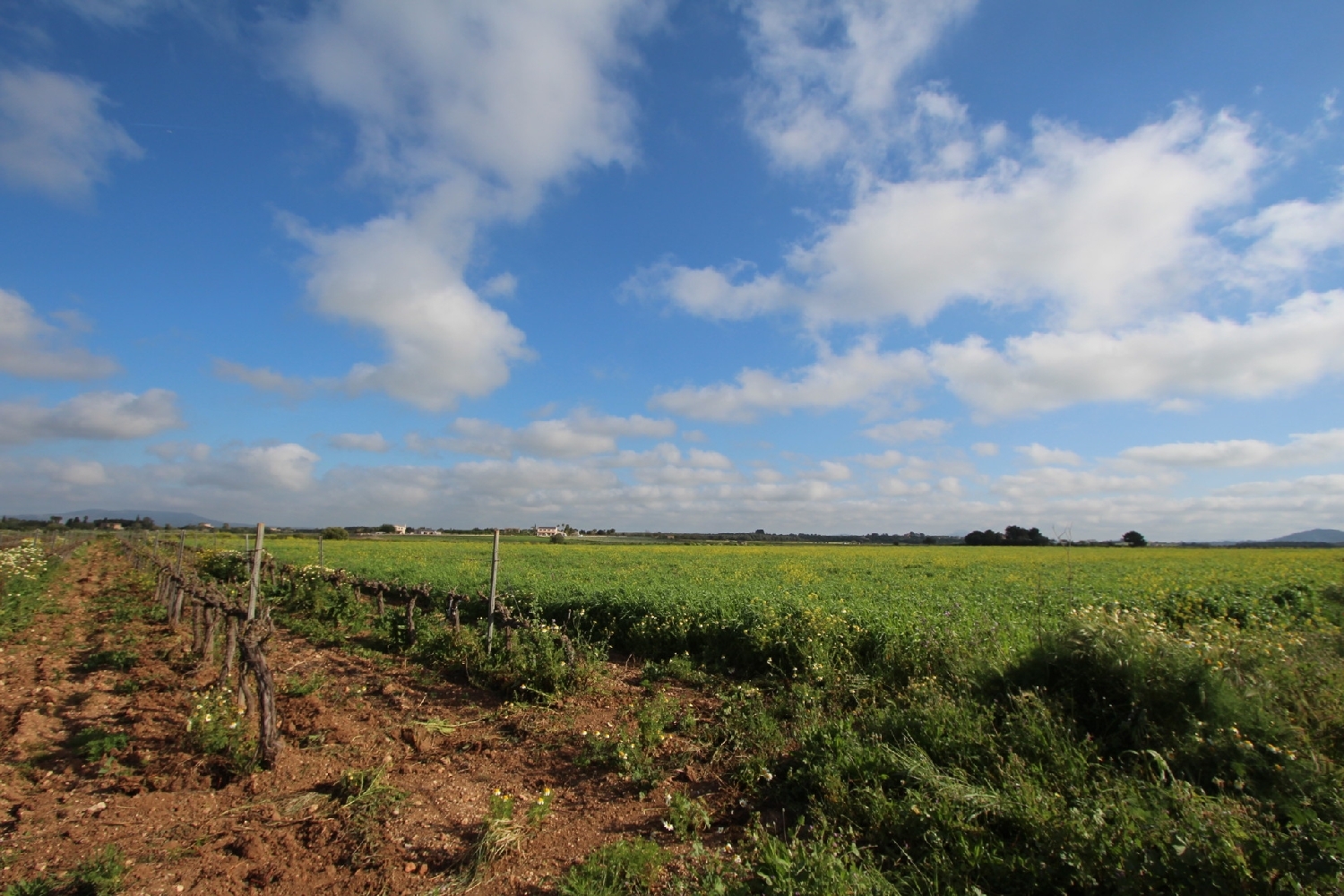  till salu tomt Felanitx Sud 6