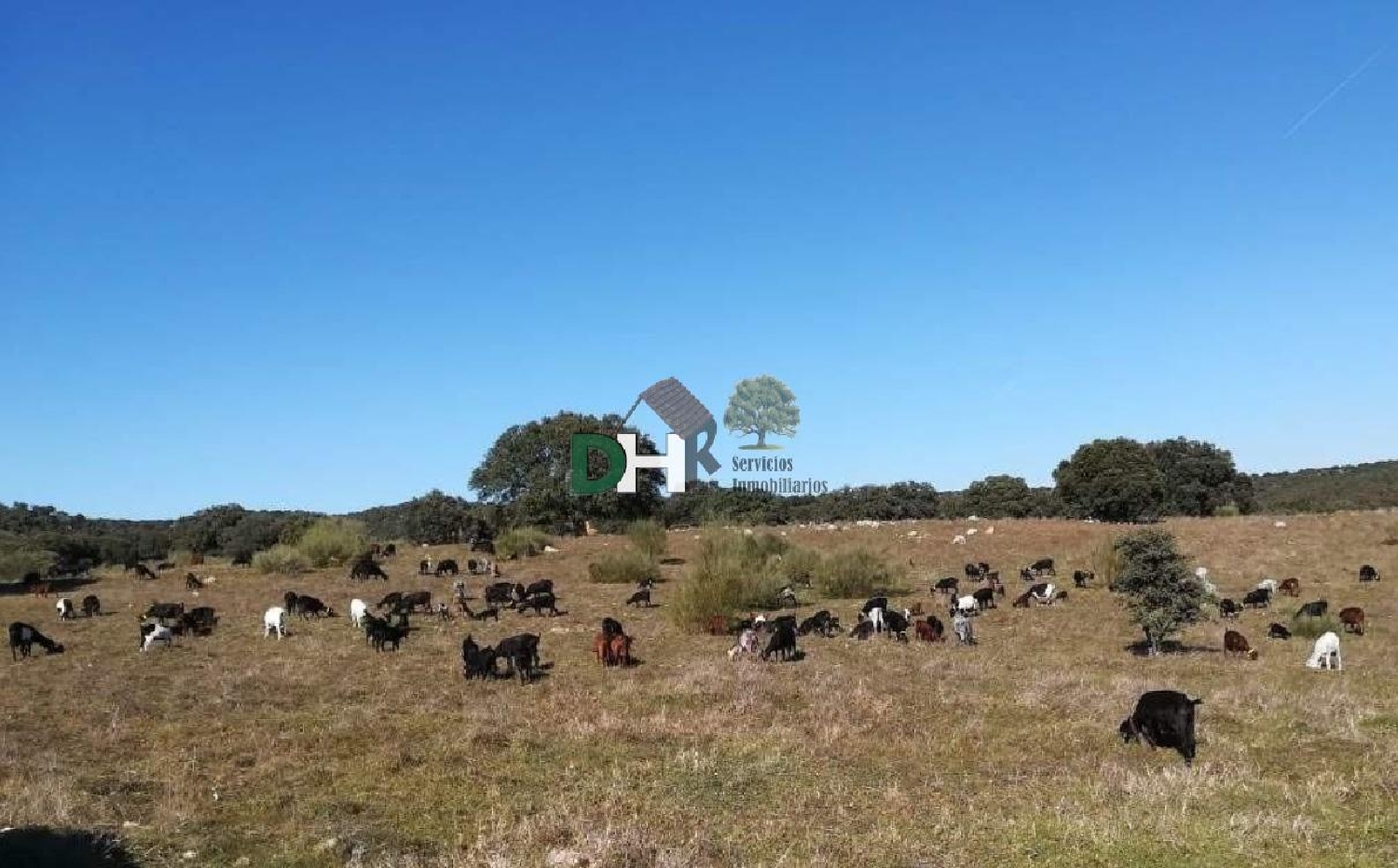 kaufen Grundstück Madrid Valle Del Almanzora 3