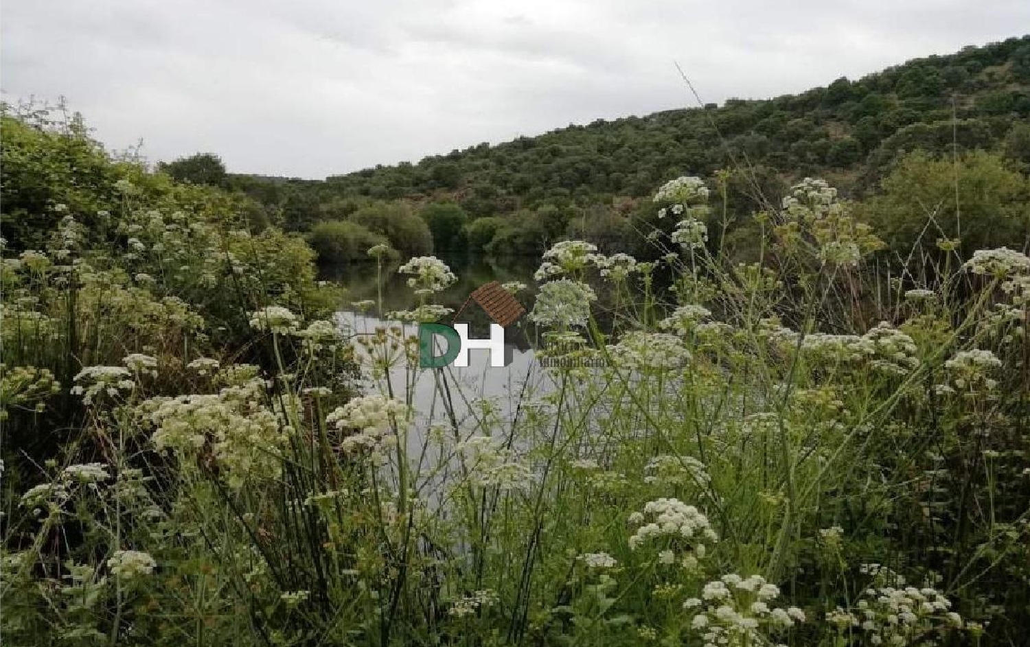 kaufen Grundstück Madrid Valle Del Almanzora 2