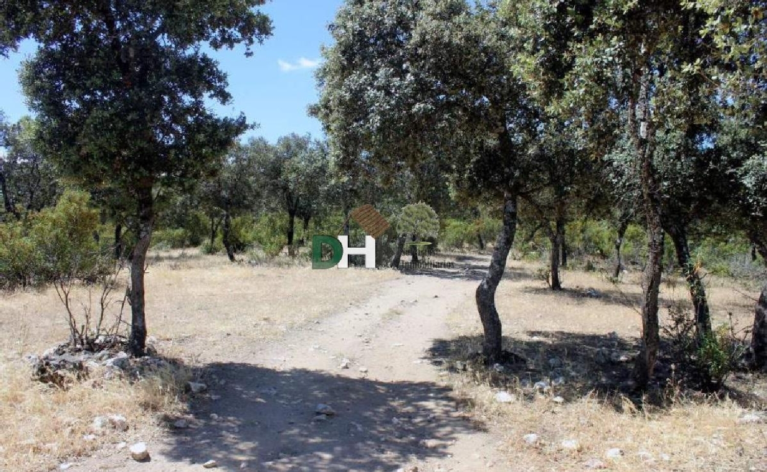 kaufen Grundstück Madrid Valle Del Almanzora 8