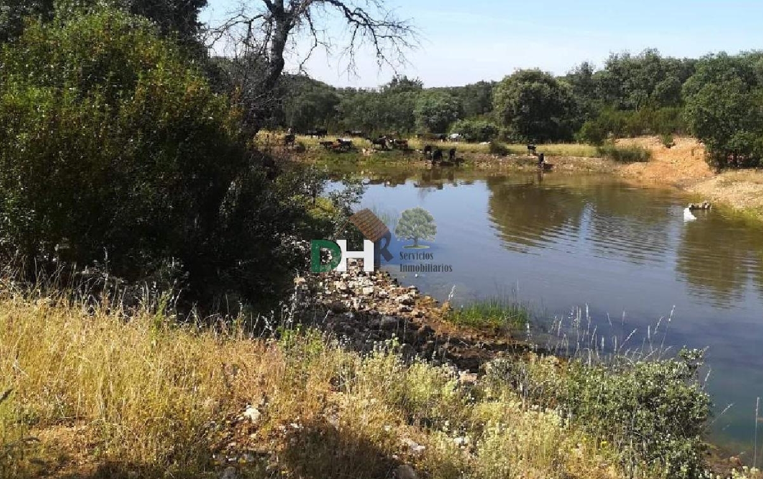 kaufen Grundstück Madrid Valle Del Almanzora 4