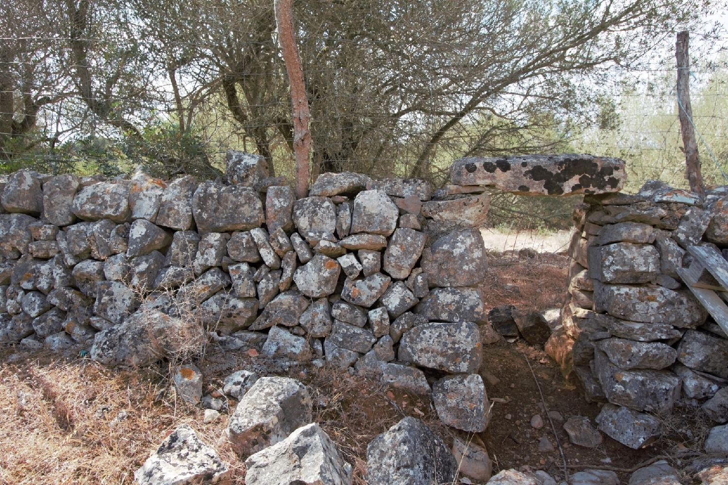  till salu tomt Manacor Llevant 15