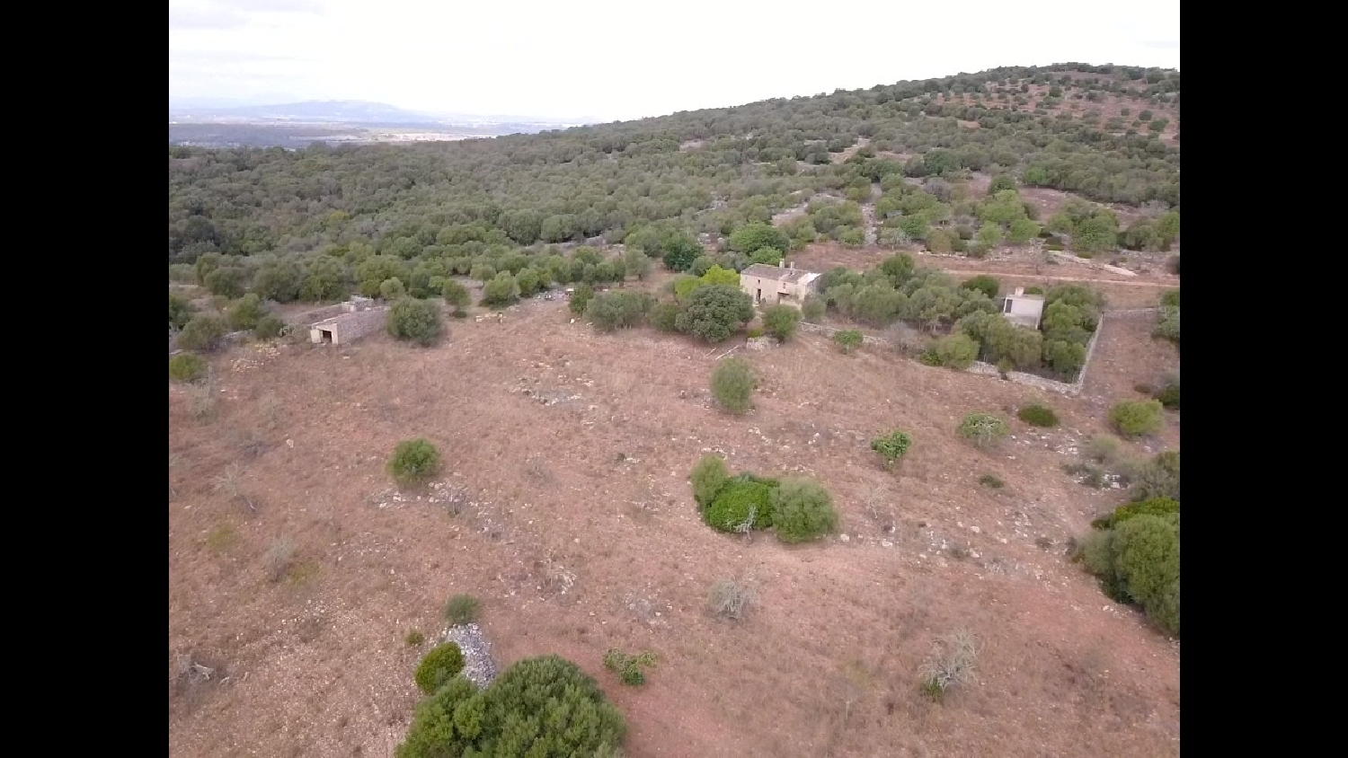  till salu tomt Manacor Llevant 5