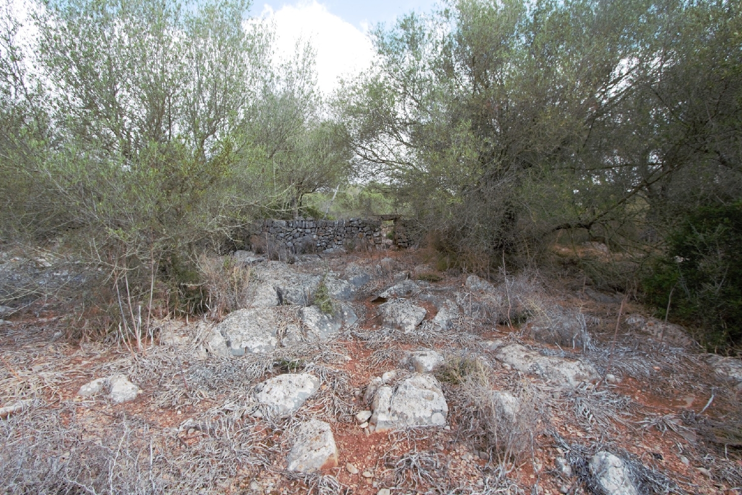  till salu tomt Manacor Llevant 20