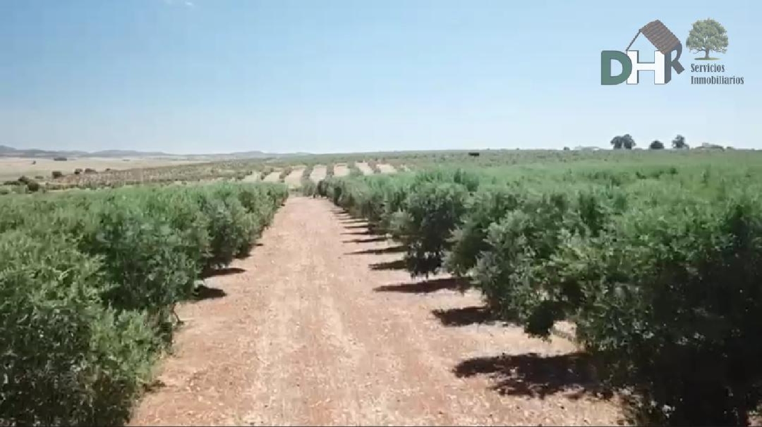 kaufen Grundstück Mérida Merida 2