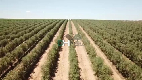 Mérida Merida Grundstück Bild 6323811