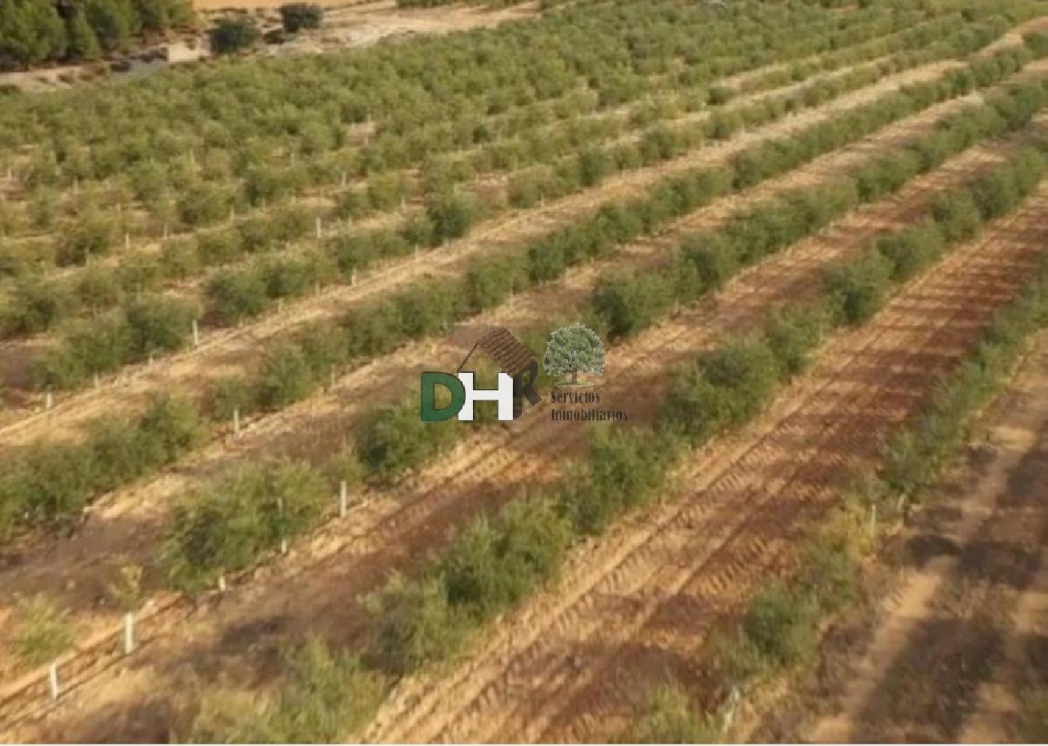  for sale plot O Toledo Ribeiro 3