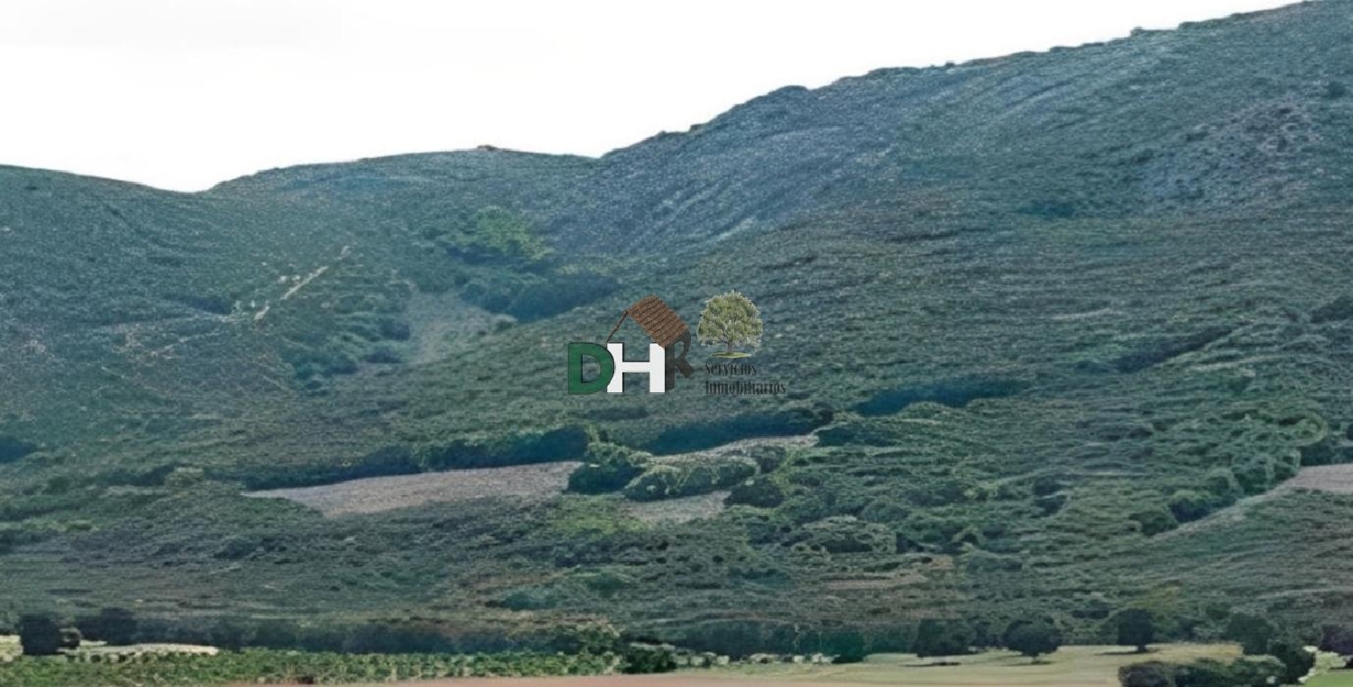  for sale plot O Toledo Ribeiro 1