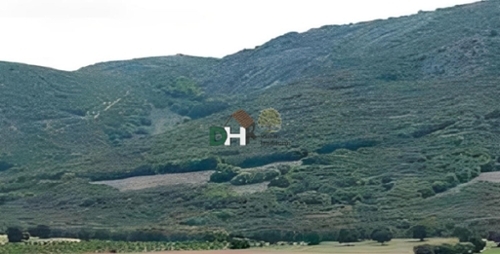 O Toledo Ribeiro plot foto 6323999