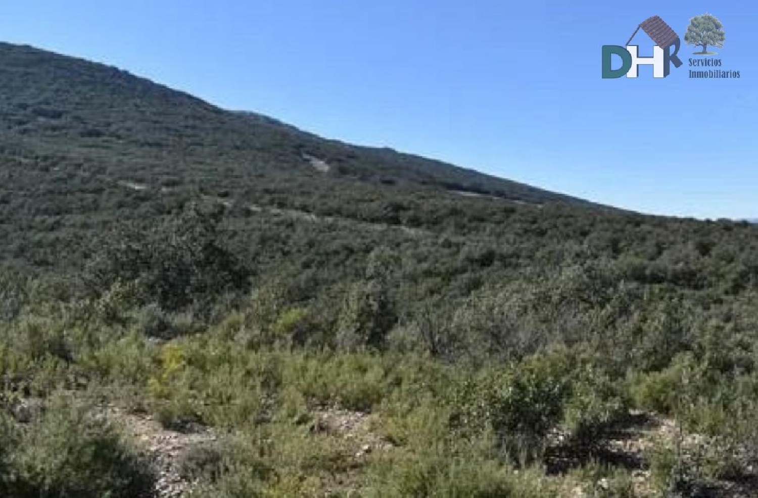  for sale plot O Toledo Ribeiro 7