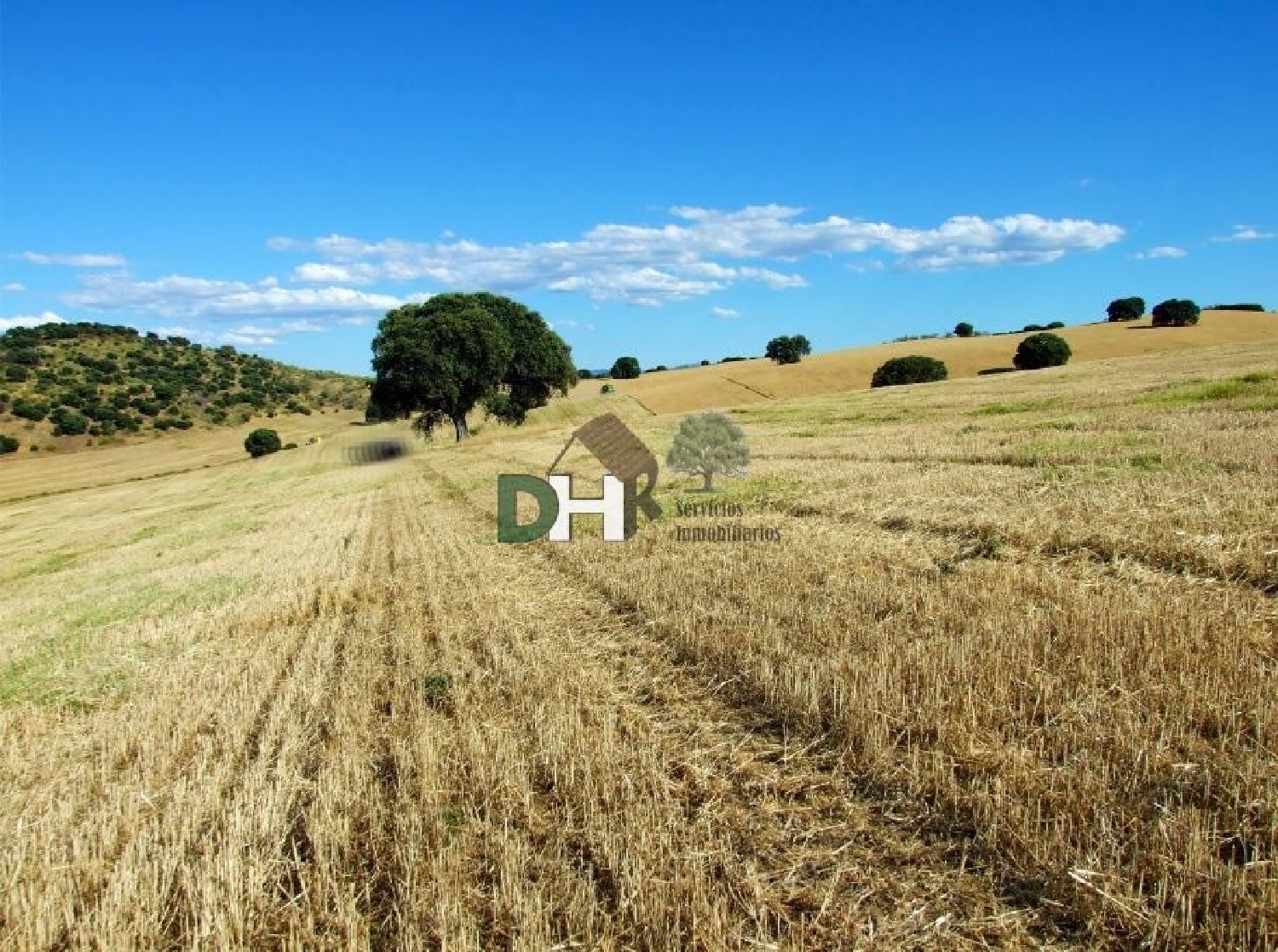  for sale plot O Toledo Ribeiro 1