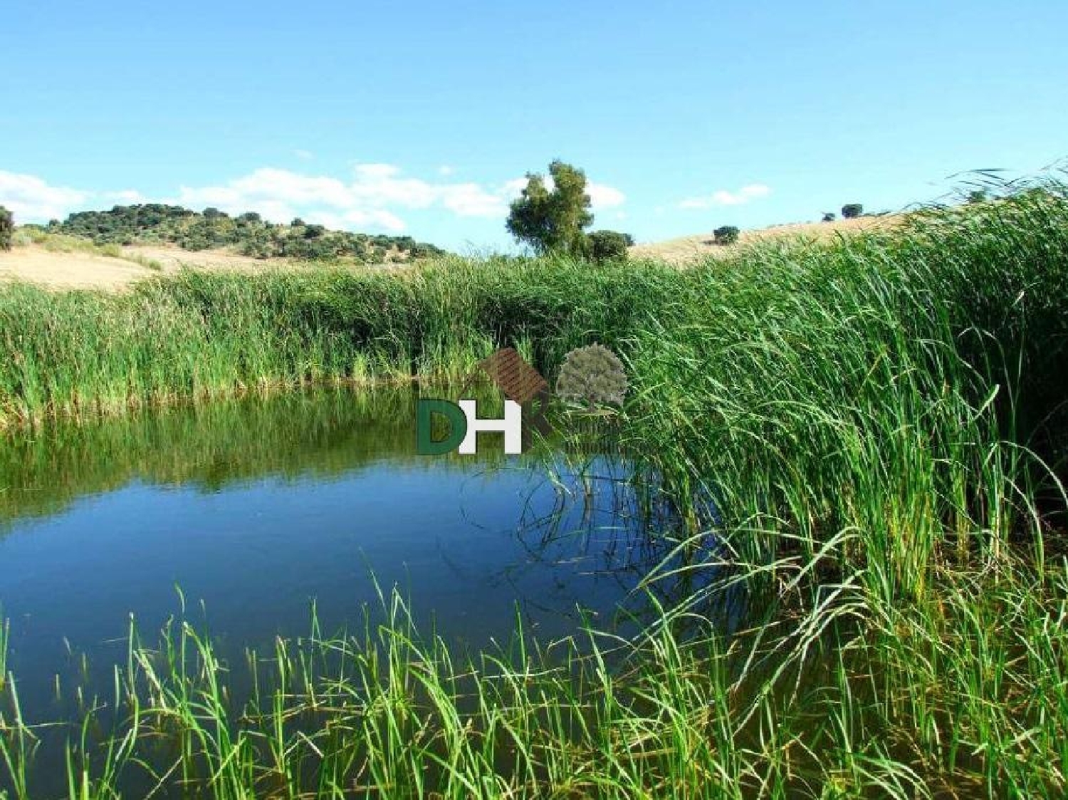  for sale plot O Toledo Ribeiro 4