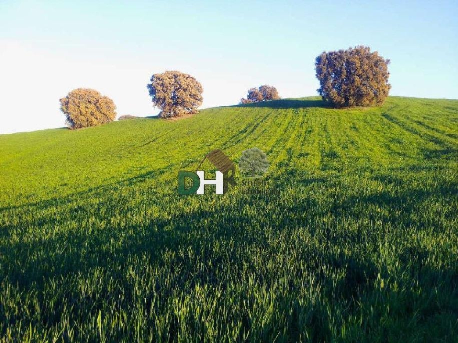  for sale plot O Toledo Ribeiro 2