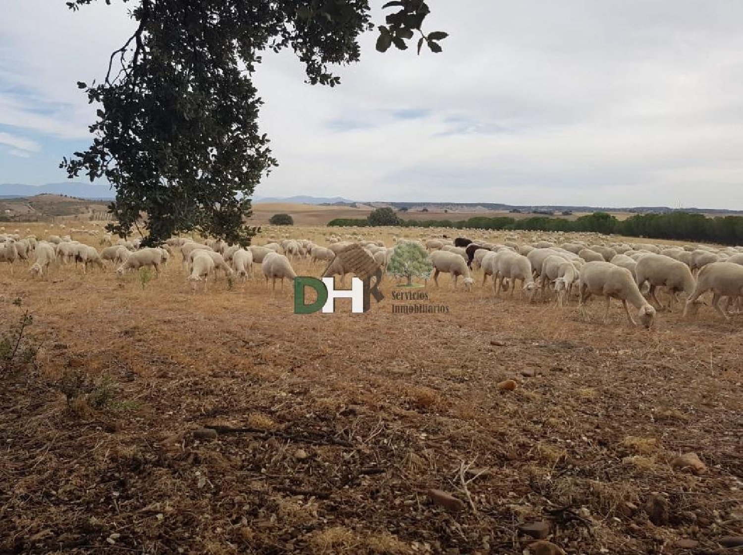  for sale plot O Toledo Ribeiro 3