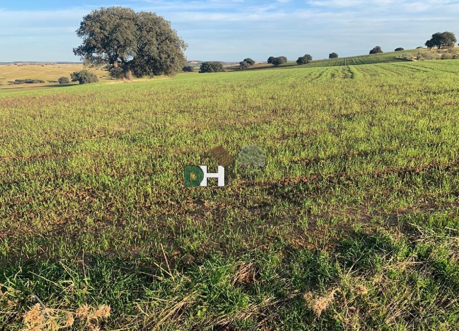 for sale plot O Toledo Ribeiro 4