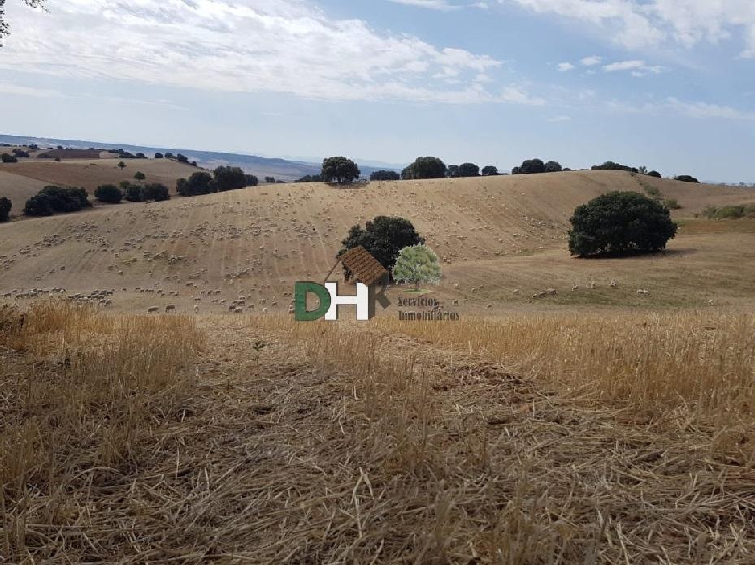 for sale plot O Toledo Ribeiro 3