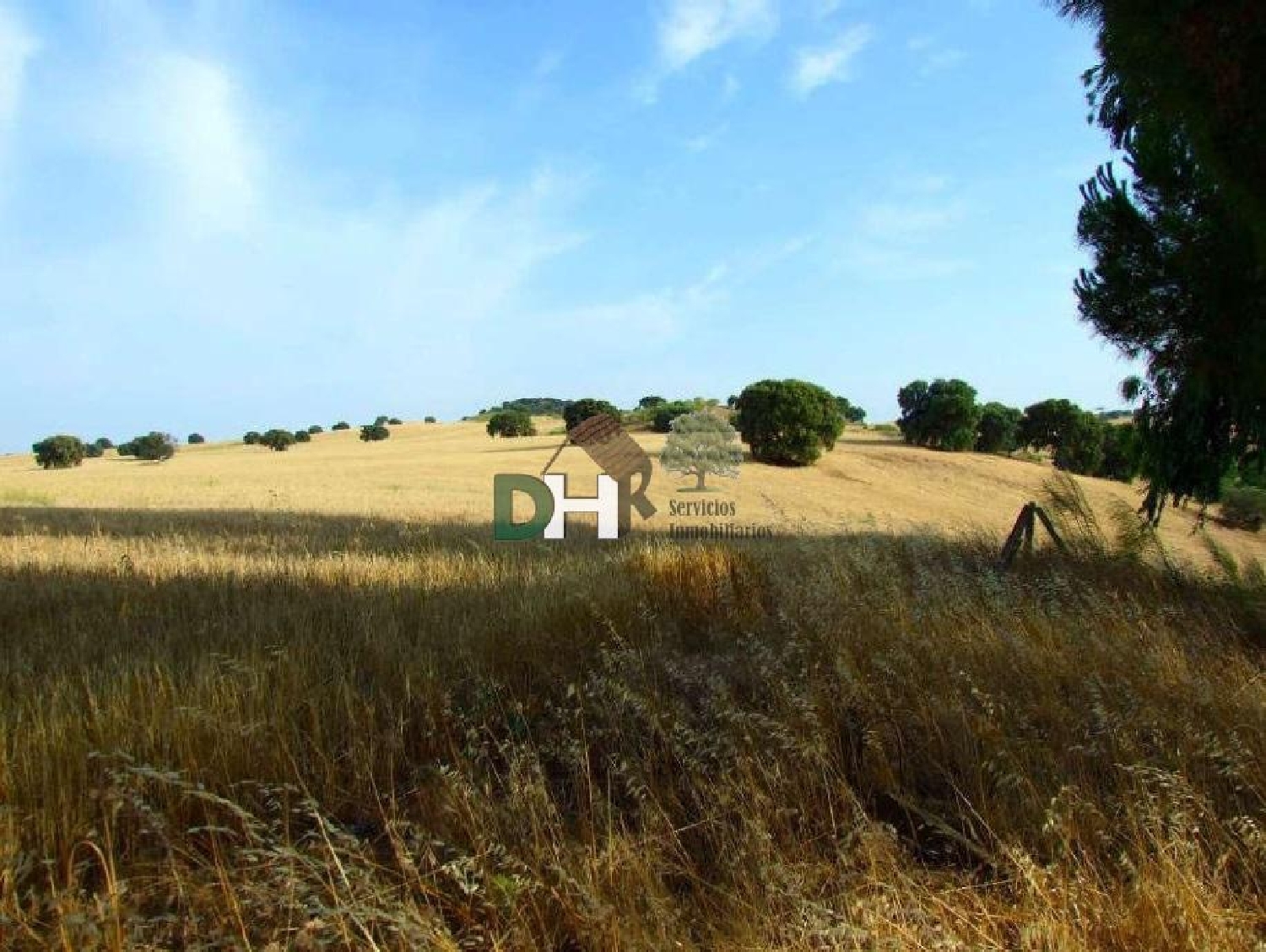 for sale plot O Toledo Ribeiro 1