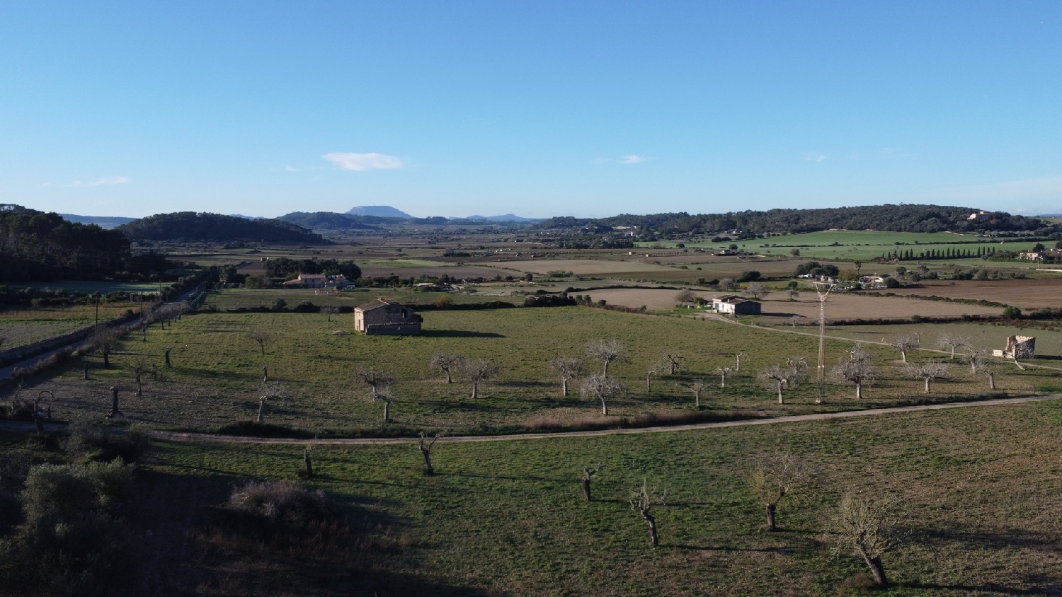  kaufen Grundstück Sineu Pla (Es) 3