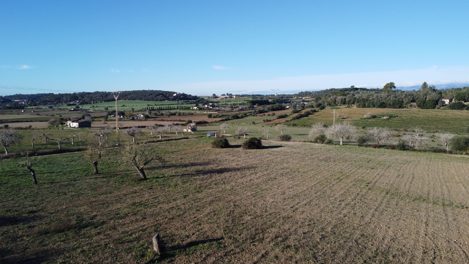  kaufen Grundstück Sineu Pla (Es) 2