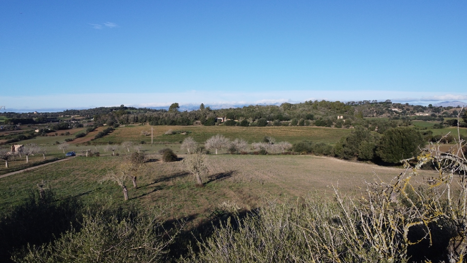  kaufen Grundstück Sineu Pla (Es) 5