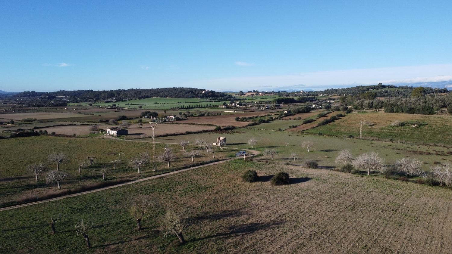  kaufen Grundstück Sineu Pla (Es) 9