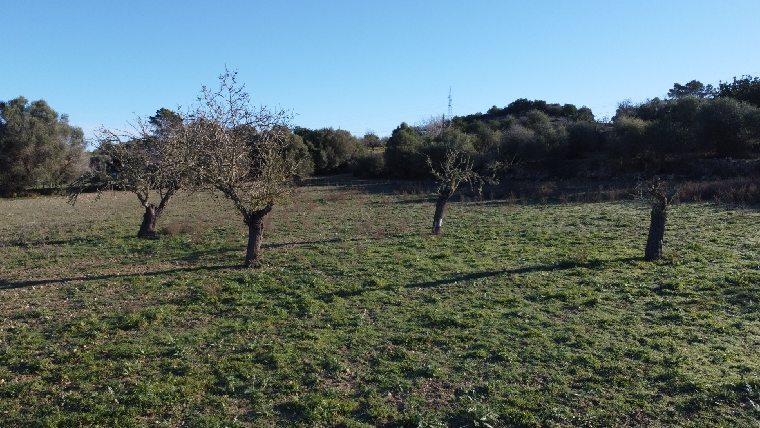  kaufen Grundstück Sineu Pla (Es) 13