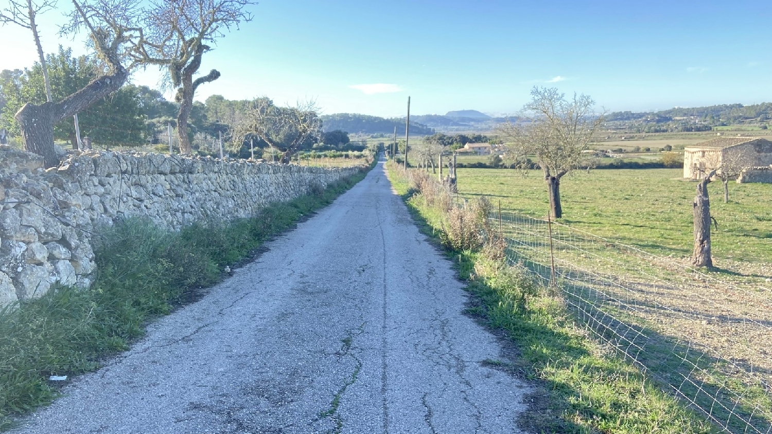  kaufen Grundstück Sineu Pla (Es) 15