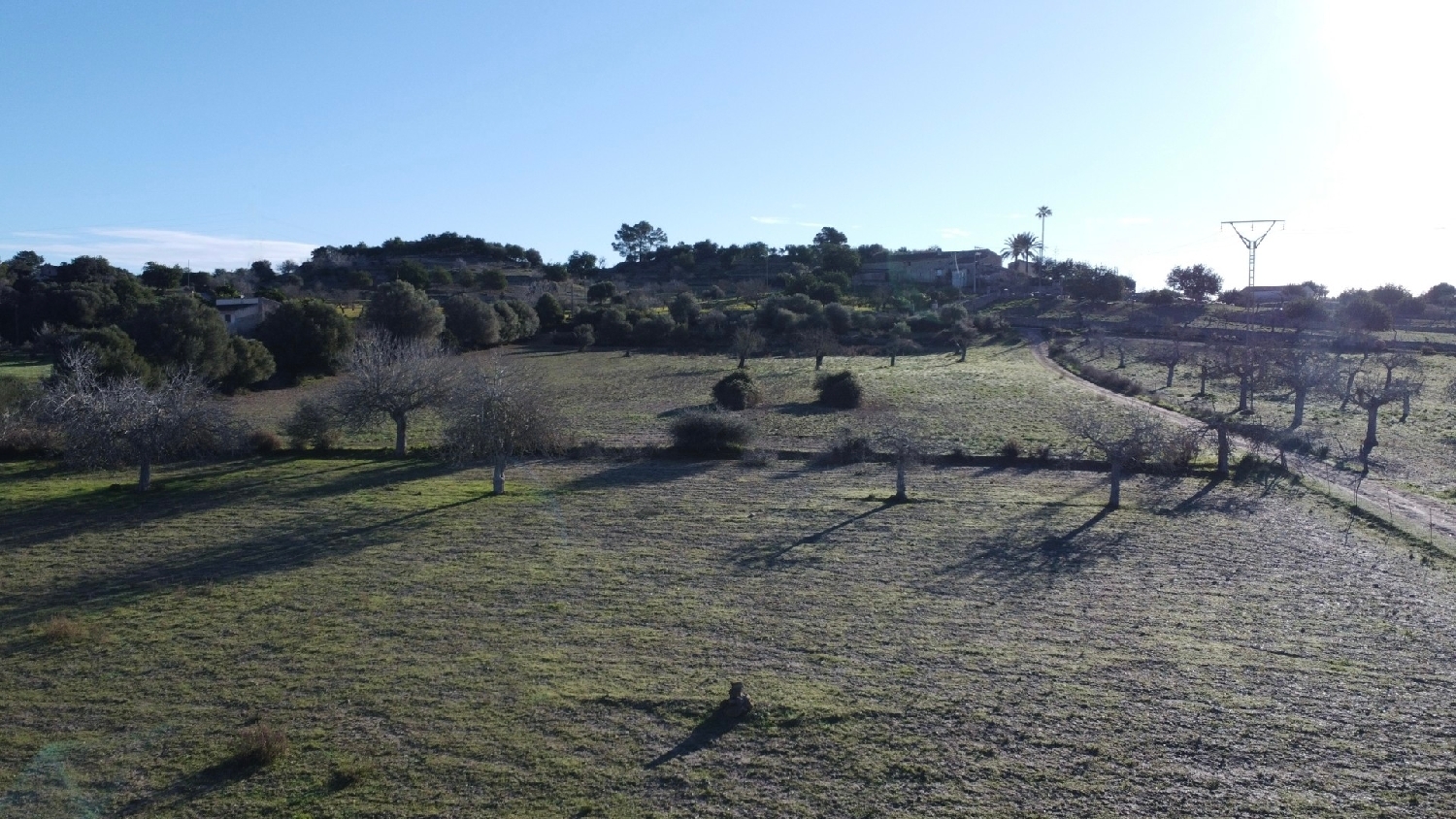  kaufen Grundstück Sineu Pla (Es) 4