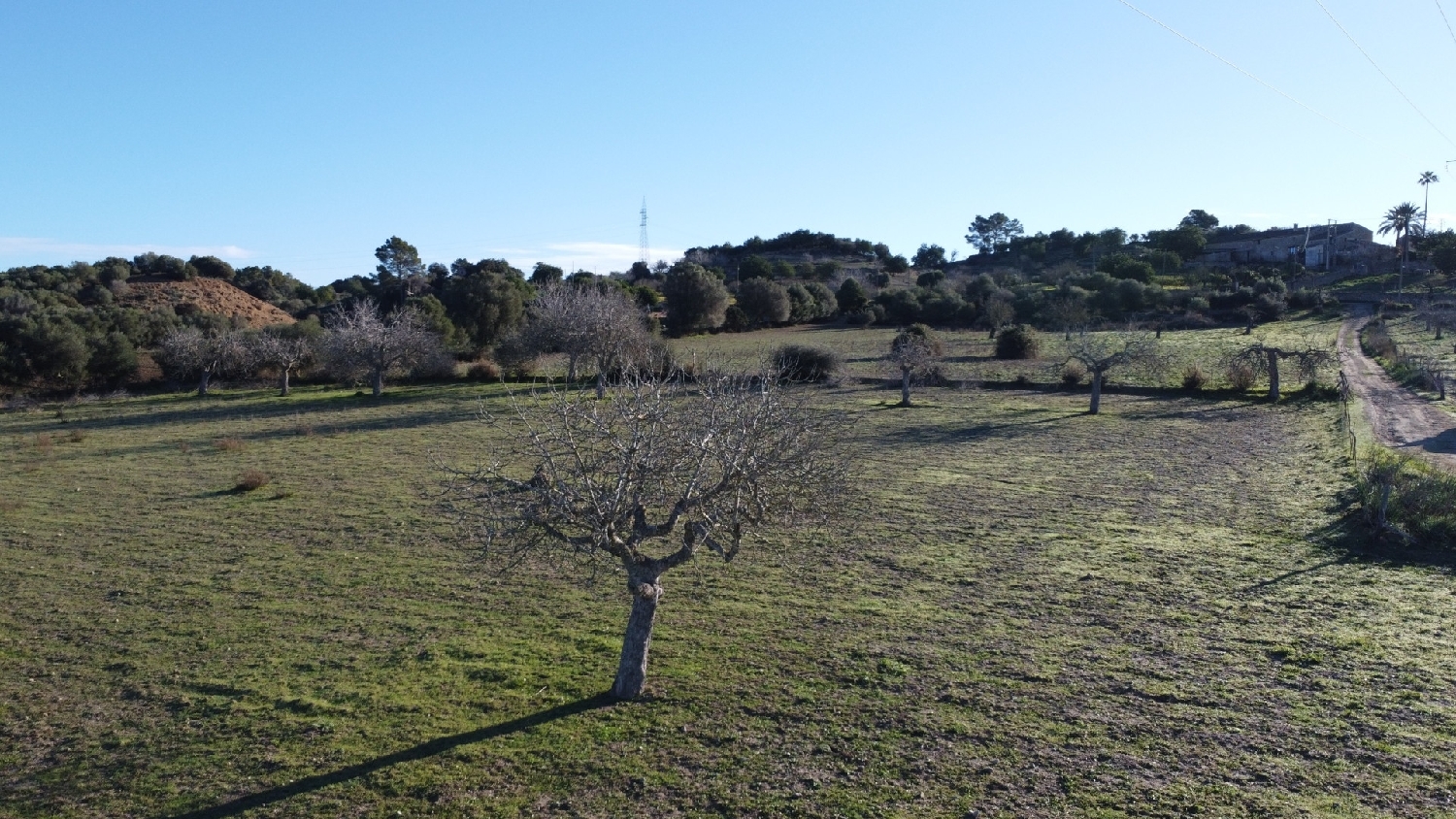  kaufen Grundstück Sineu Pla (Es) 12