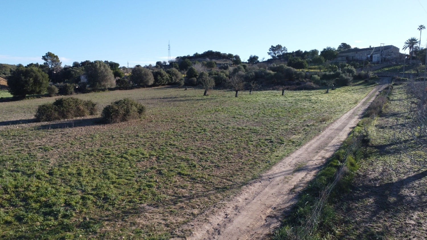  kaufen Grundstück Sineu Pla (Es) 10