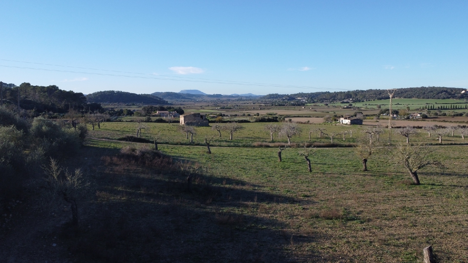  kaufen Grundstück Sineu Pla (Es) 8