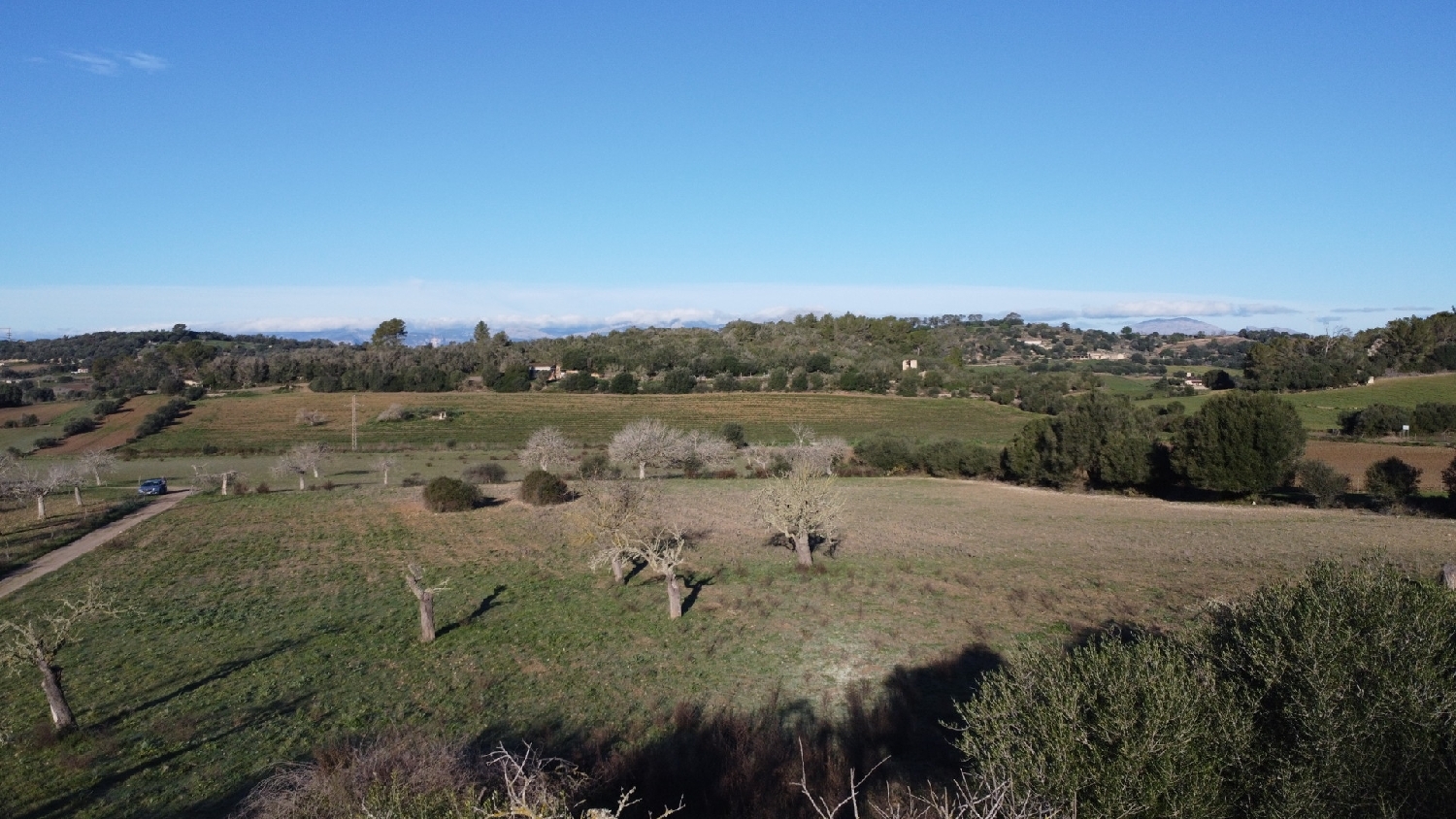  kaufen Grundstück Sineu Pla (Es) 1