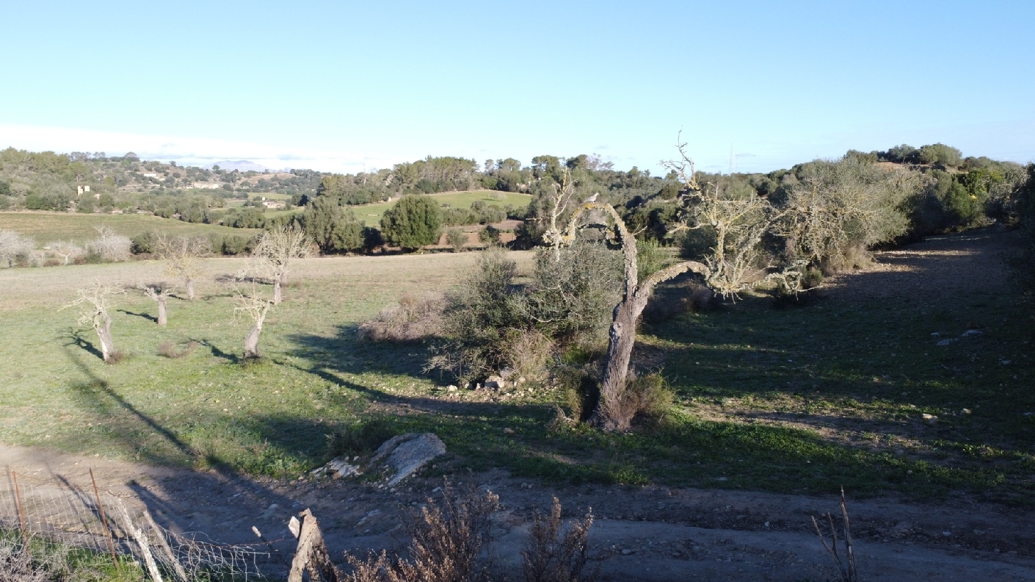  kaufen Grundstück Sineu Pla (Es) 6