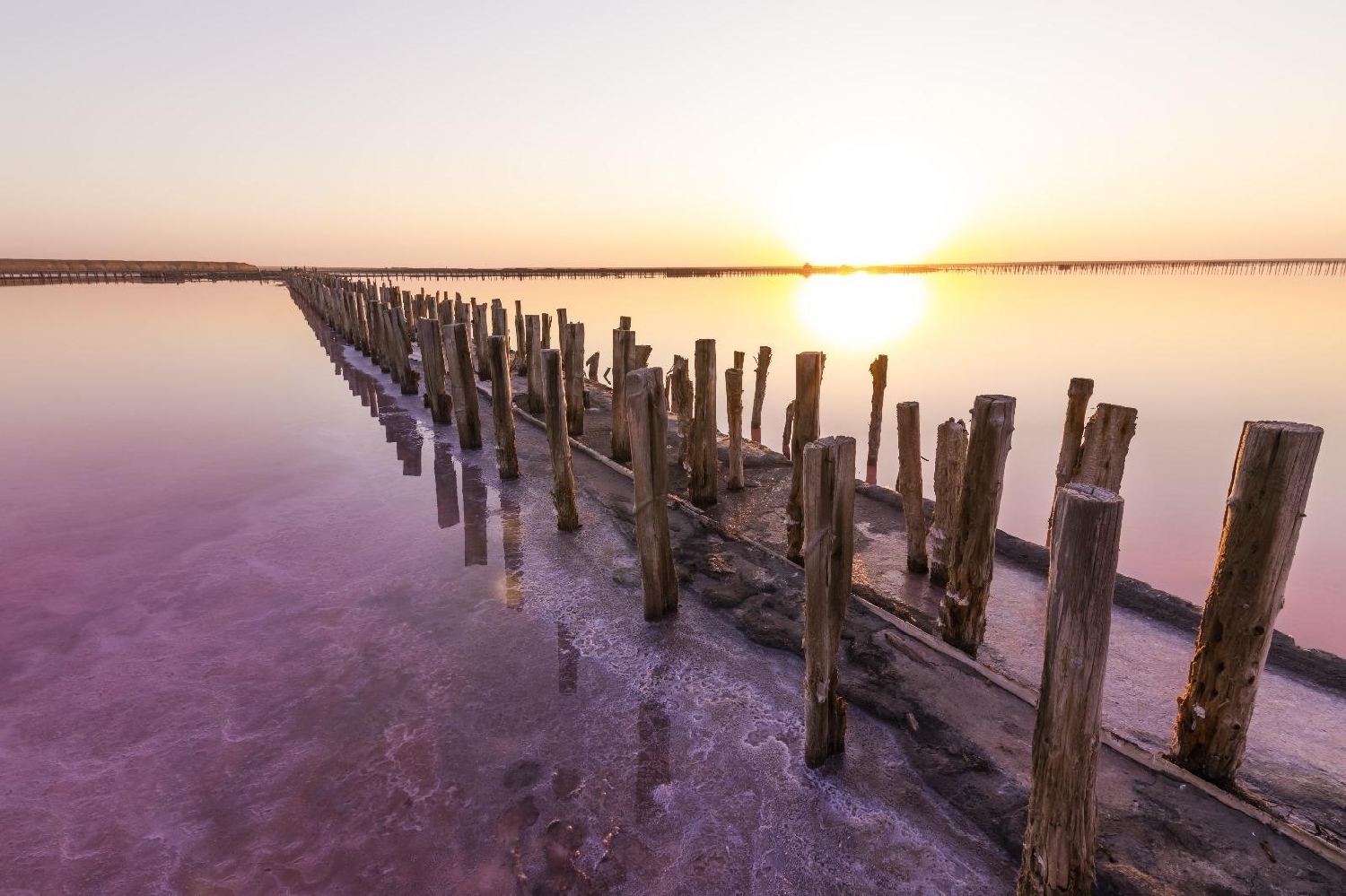  till salu lägenhet Urbanización La Florida Baix Segura 22
