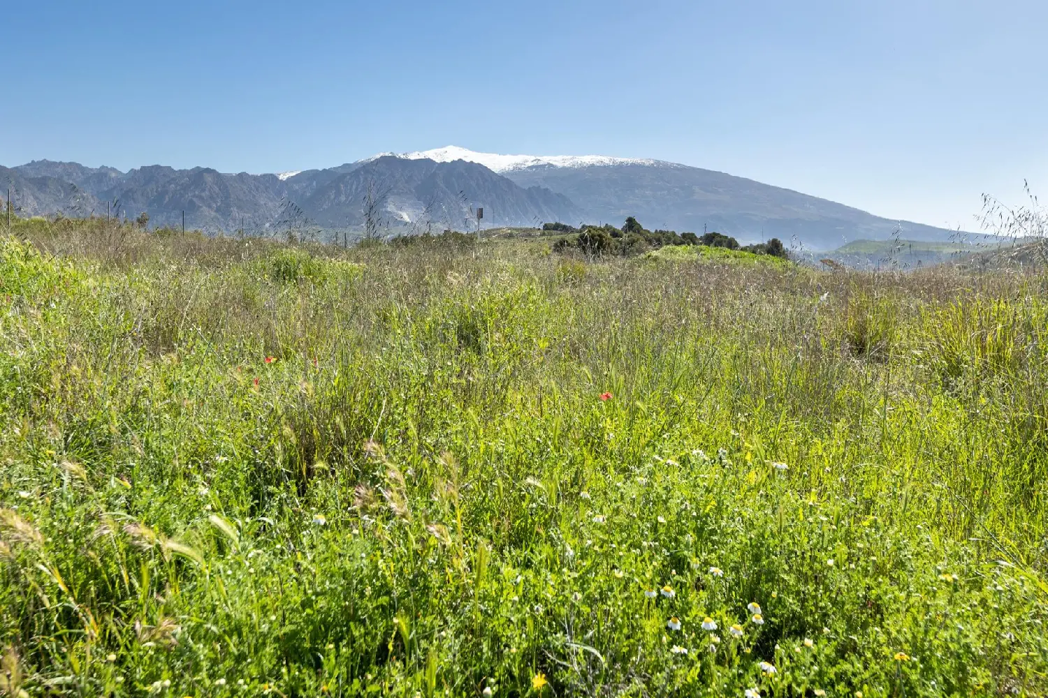  till salu lägenhet Armilla Vega De Granada 1
