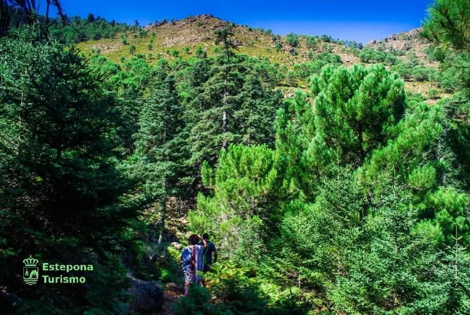  till salu lägenhet Costa Natura Costa Del Sol Occidental 9