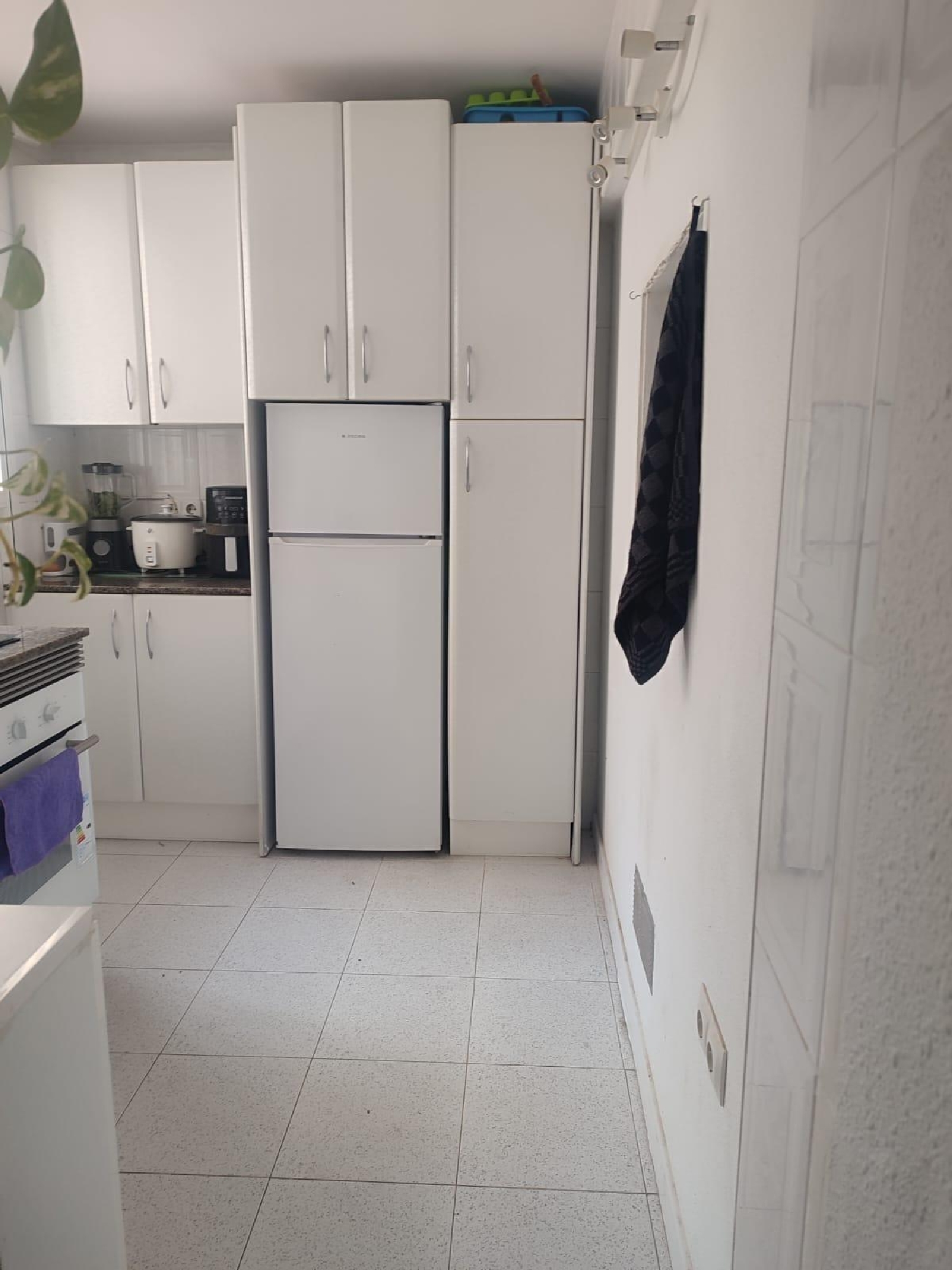  for sale apartment Benidorm (Centro) Marina Baixa 4