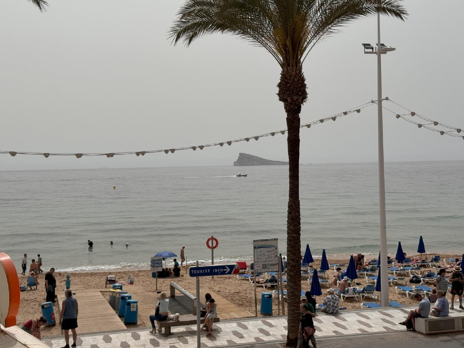  till salu lägenhet Benidorm (Centro) Marina Baixa 1