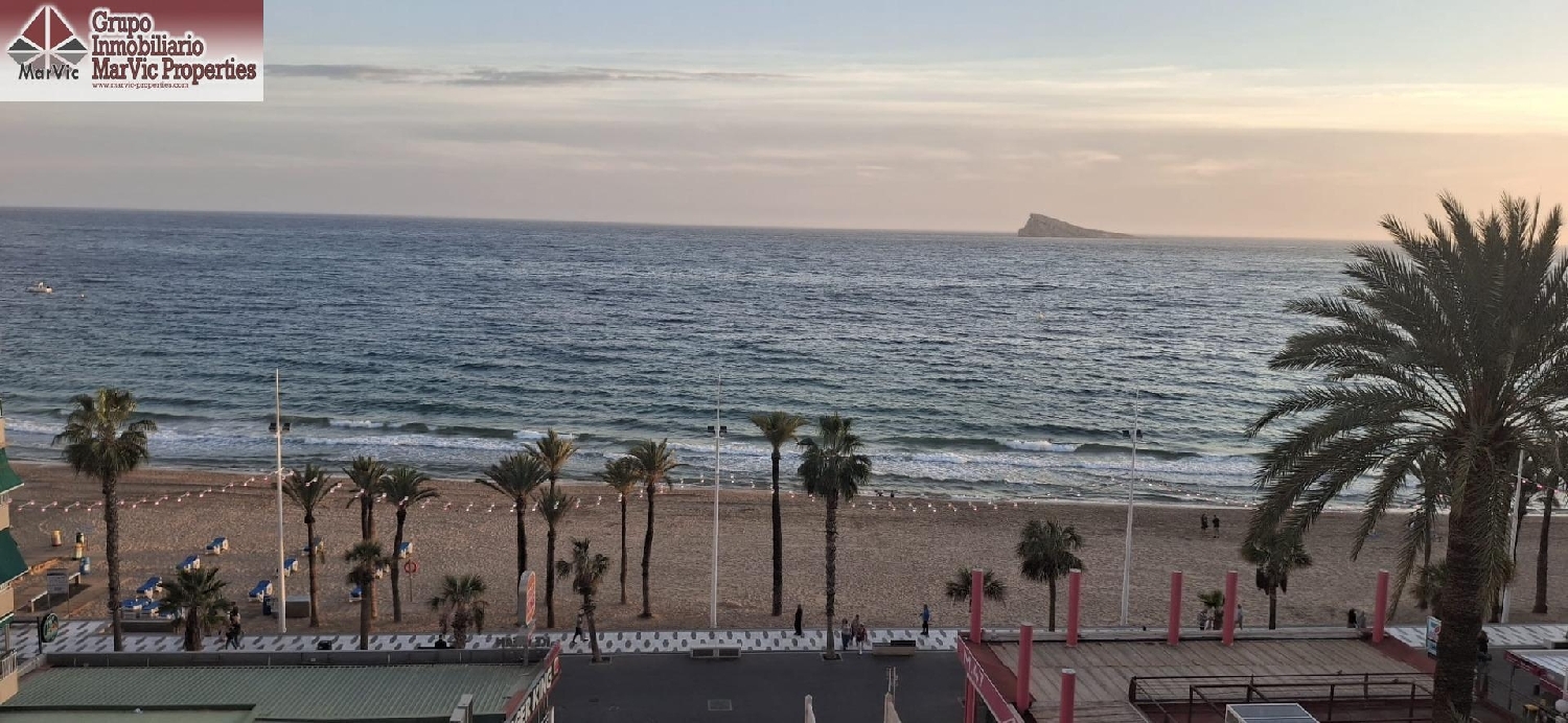  till salu lägenhet Benidorm (Centro) Marina Baixa 1