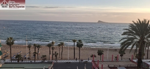 Benidorm (Centro) Marina Baixa lägenhet foto 6225594