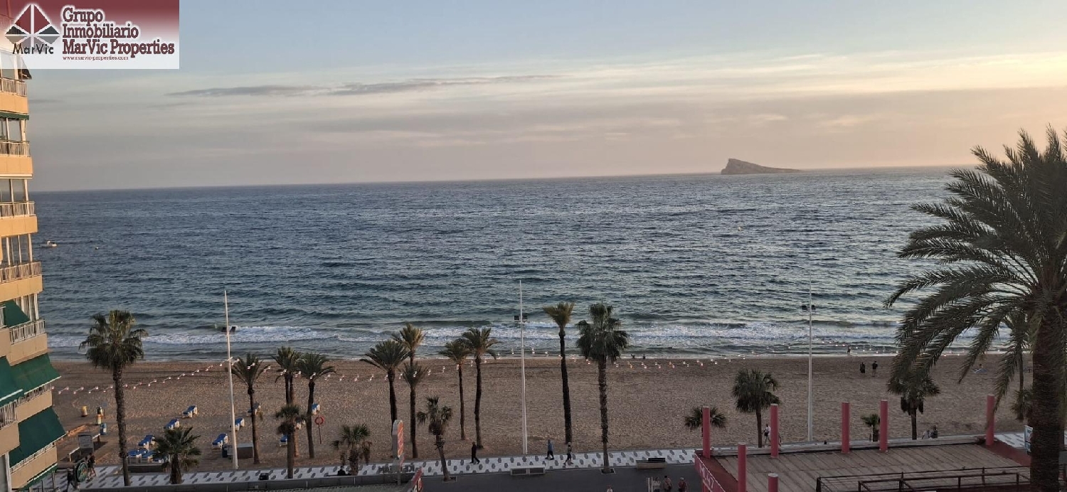  till salu lägenhet Benidorm (Centro) Marina Baixa 4