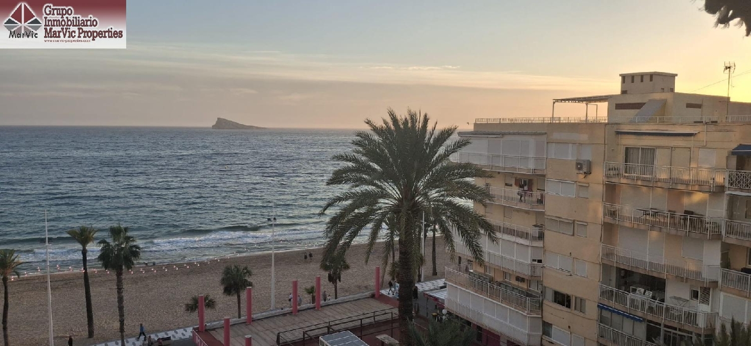 till salu lägenhet Benidorm (Centro) Marina Baixa 3
