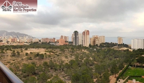 Benidorm (Centro) Marina Baixa lägenhet foto 6225603