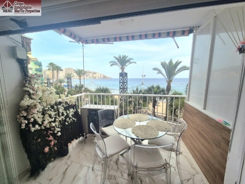 Benidorm (Centro) Marina Baixa lägenhet foto 6265701