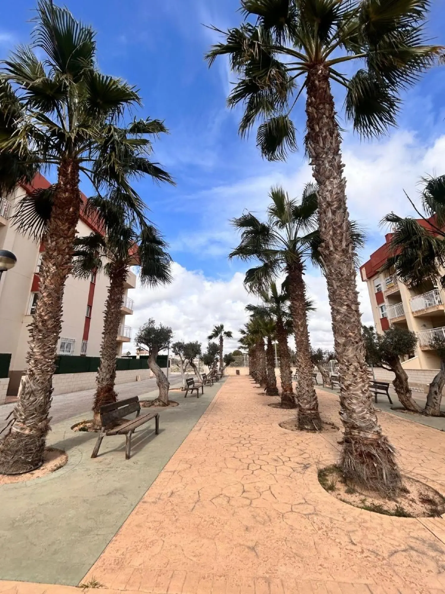  till salu lägenhet Castillo De Don Juan Baix Segura 8