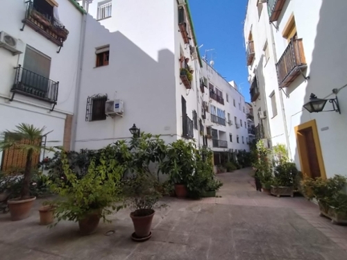 Córdoba Centro 14002 Córdoba lägenhet foto 6242858