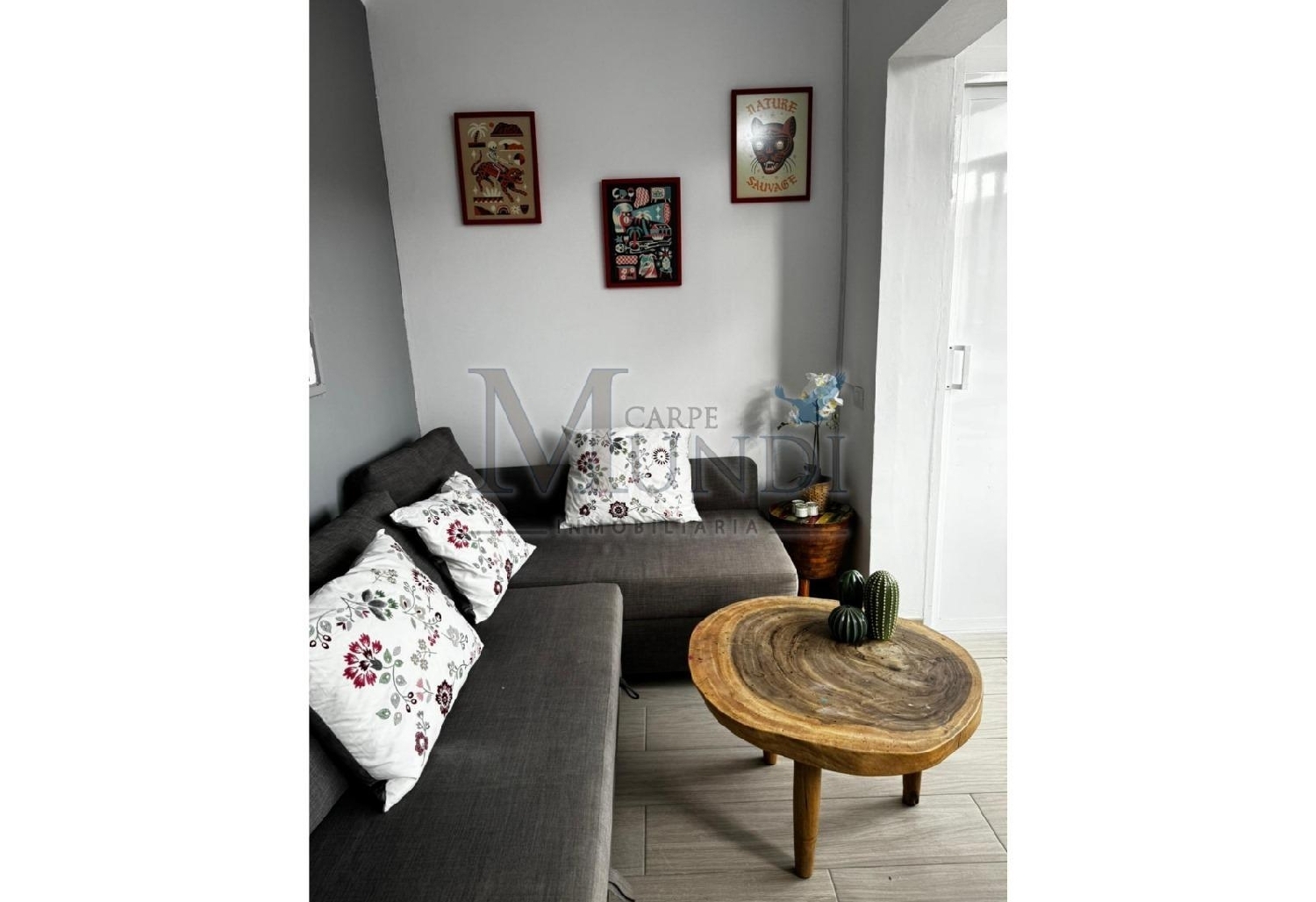  kaufen Wohnung Corralejo Playa Oliva (La) 3
