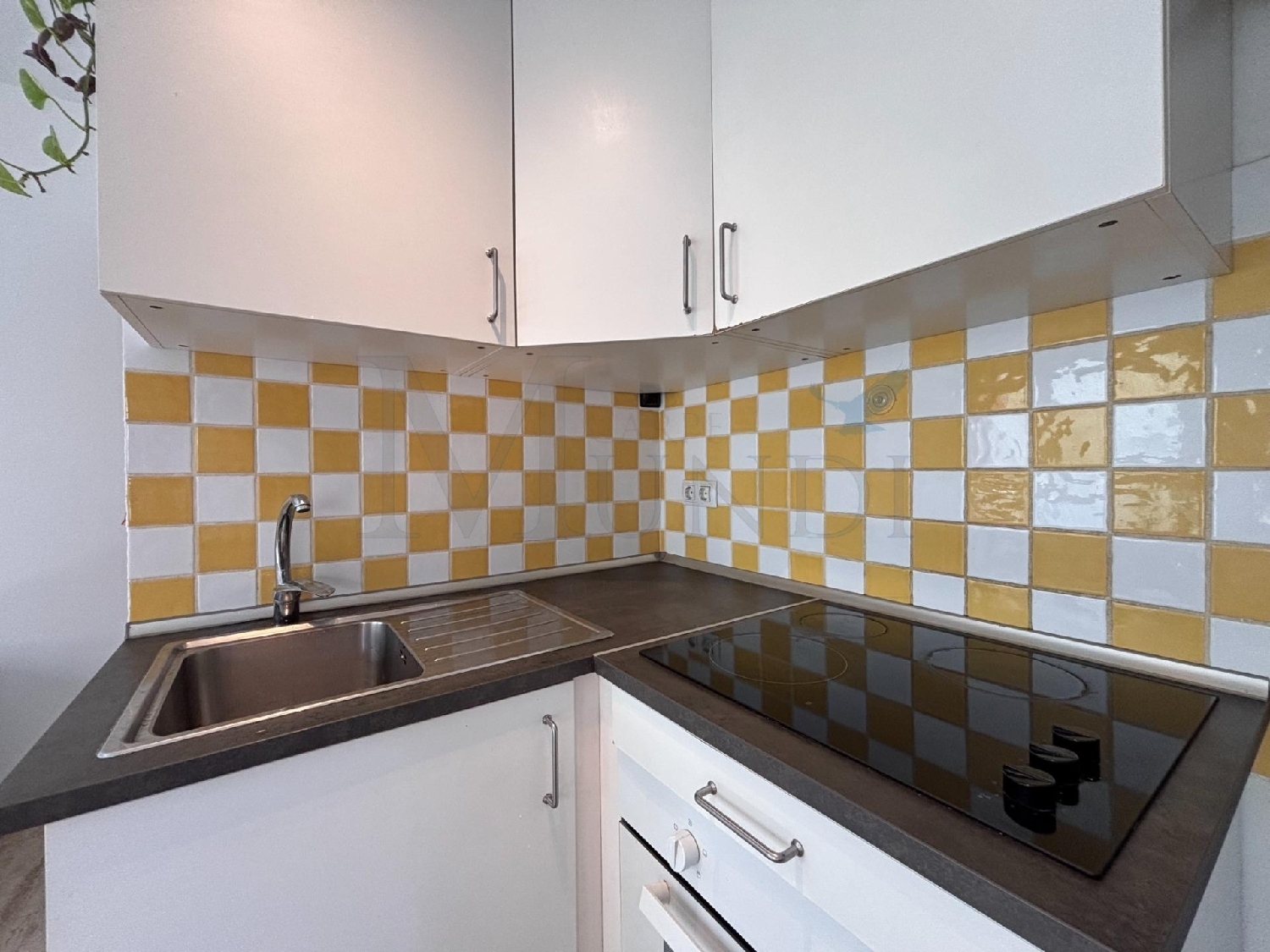  te koop appartement Corralejo Playa Oliva (La) 4