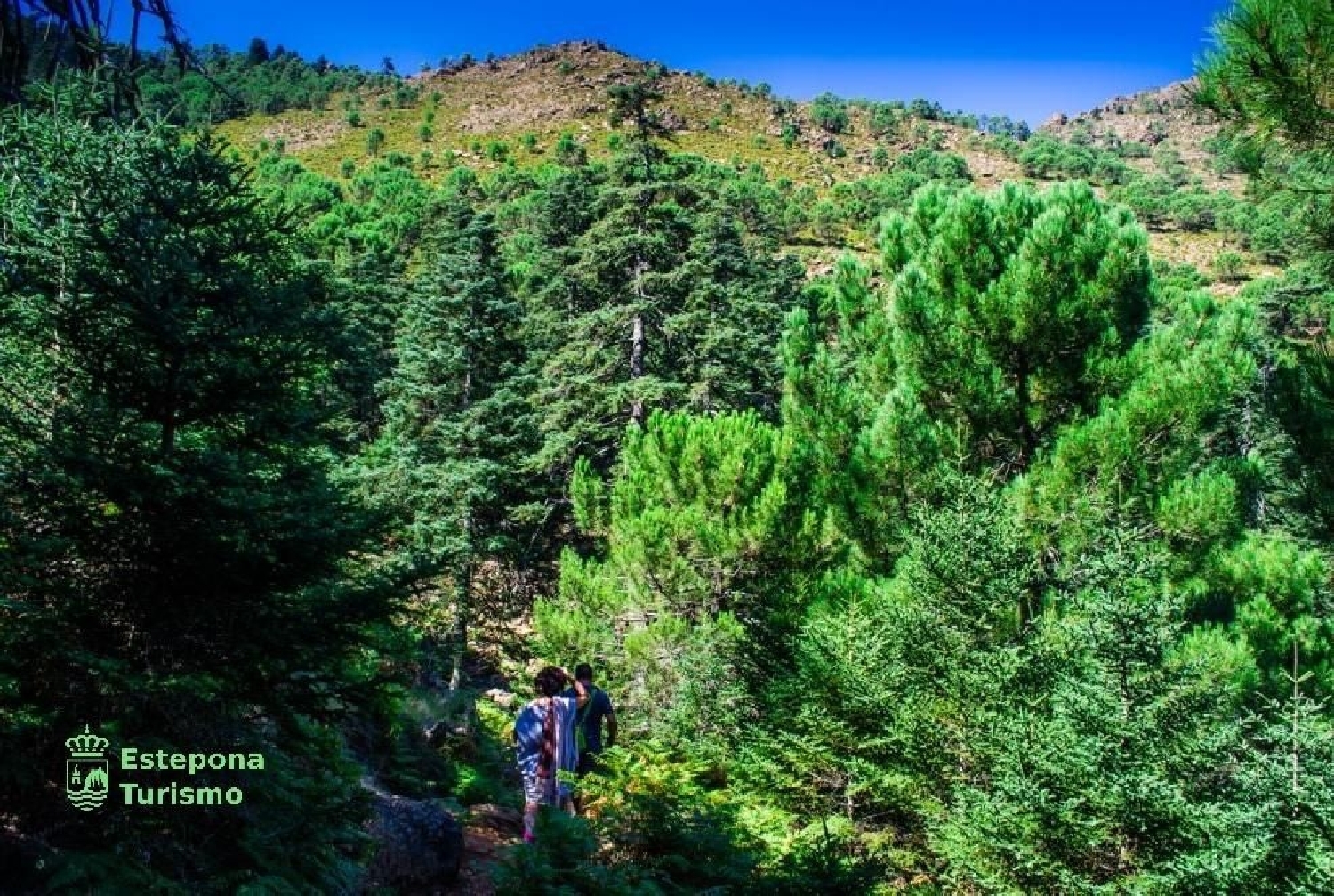  till salu lägenhet Costa Natura Costa Del Sol Occidental 9