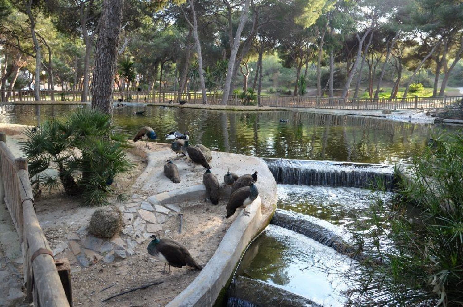  till salu lägenhet Costa Bella Baix Segura 16